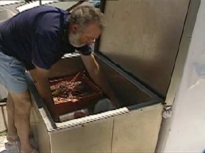 PESCA- (2)  GANADO